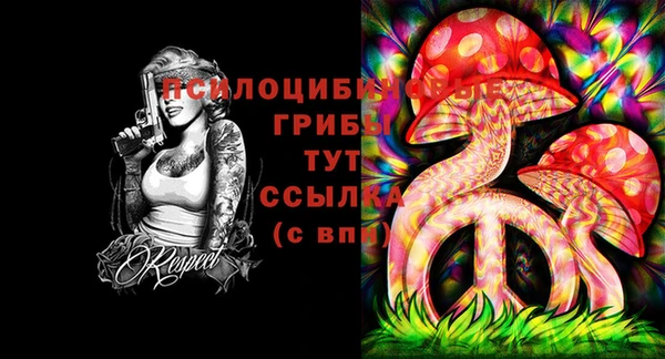 скорость mdpv Новодвинск