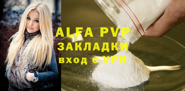гидра Новозыбков