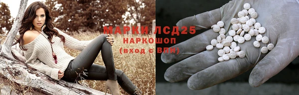 гидра Новозыбков